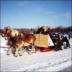 sleigh ride